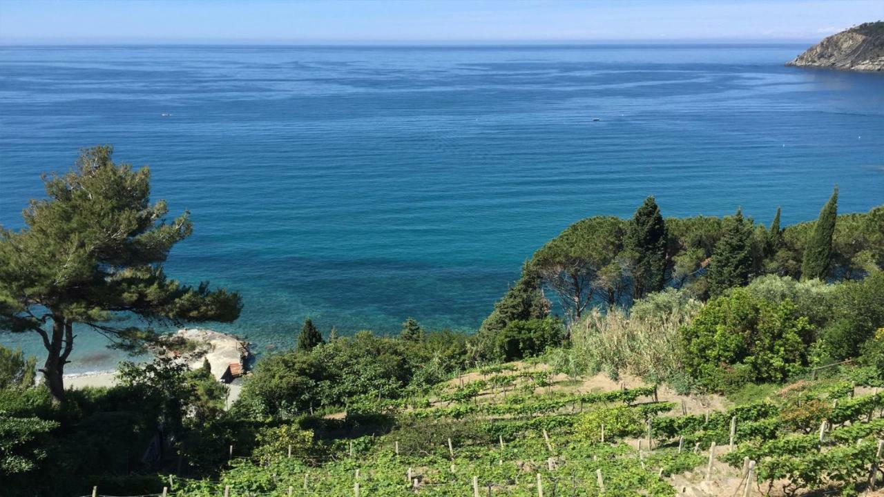 Appartamento A Moneglia, Tra Portofino E Le Cinque Terre Exterior foto